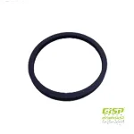 واشر ترموستات پژو 405 ، پارس ، سمند ، سورن کد 476930